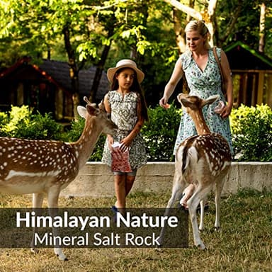 Himalayan Nature 100% Authentic Himalayan Pink Salt Chunks, 10 LBS, Animal Feed Salt Block, Plastic Bag of Salt Chunks for Deer, Horse & Animals, Pack of 1 - Image 9