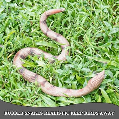 Gelabur Fake Snakes Prank, Soft Rubber Snake Realistic Keep Birds Away, Fake Snakes Toy - Life-Like Snake Figurine for Pranks, Halloween Decorations, and Educational Purposes - Image 7