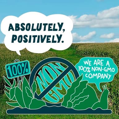 Sir Kensington's Mayonnaise 2 Count Special Sauce Gluten Free Non- GMO Project Verified Shelf-Stable 12 oz - Image 5