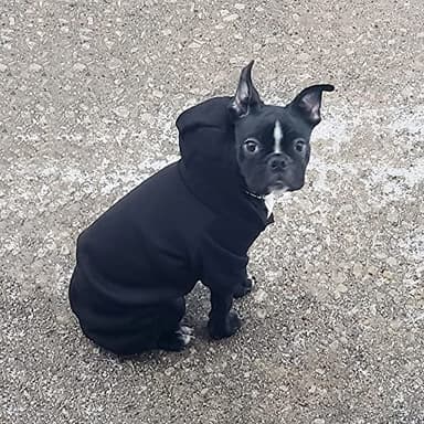 Dog Hoodie, Pet Jumpsuit Fleece Sweatshirt with Buttons, Dog Clothes, Dog Cold Weather Coats, Dog Pajamas, Winter Warm Cotton Puppy Hoodie 4 Legs Dog Clothes for Small Medium Large Dogs Cats Boy Girl - Image 2