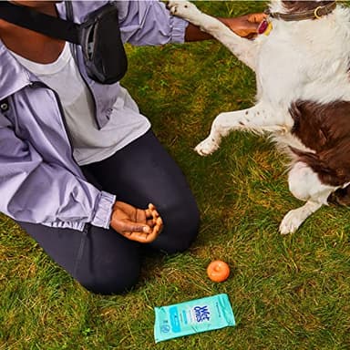 Wet Ones Sensitive Skin Hands and Face Wipes, 20 Count Travel Pack (Pack of 10) - Image 5