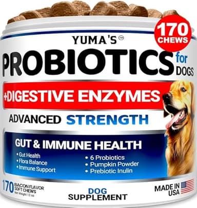 Probiotics for Dogs and Digestive Enzymes - 170 Dog Probiotics Chews - Dog Probiotic - Anti Diarrhea, Upset Stomach & Gas Relief, Canine Prebiotic - Pet Fiber Supplement - Bacon Flavor - Image 1