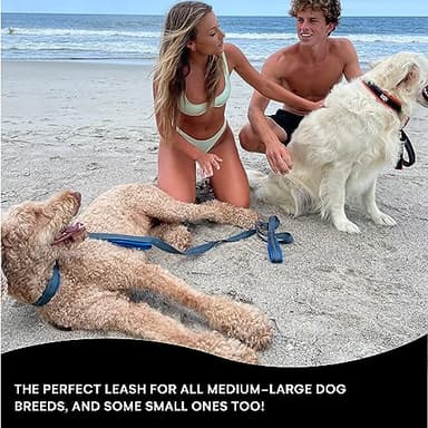 Black Rhino 6 ft Long Heavy Duty Dog Leash with Traffic Handle for Medium and Large Dogs - Padded Neoprene Dual Handles, Bag and Clip - Reflective, Durable, and Weather Resistant - Green - Image 4