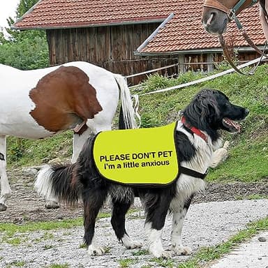 Anxious Dog Jacket - Do Not Pet I Am A Little Anxious - Dog Walking Slogan Warning Vest (Large) - Image 5