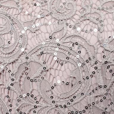 Alex Evenings Women's Long Mother of The Bride Dress with Empire Waist & Lace Bodice, Formal Event (Petite and Regular Sizes), Buff - Image 3