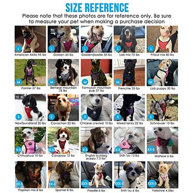 SlowTon Dog Seat Belt Harness for Car, Dog Car Harness Adjustable Mesh Breathable & Dog Seatbelt Safety Tether with Elastic Bungee for Small Medium Large Pets(Black, Double Clip, S) - Image 6