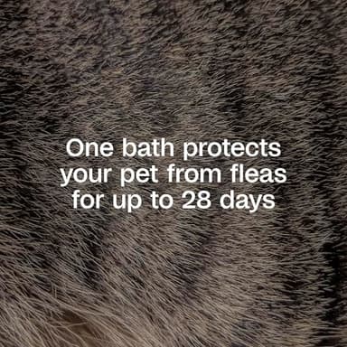 ADAMS Plus Flea & Tick Shampoo with Precor IGR for Cats, Kittens, Dogs & Puppies Over 12 Weeks Of Age, Sensitive Skin Flea Treatment, Kills Adult Fleas, Flea Eggs, Ticks, and Lice, 6 Ounces - Image 3