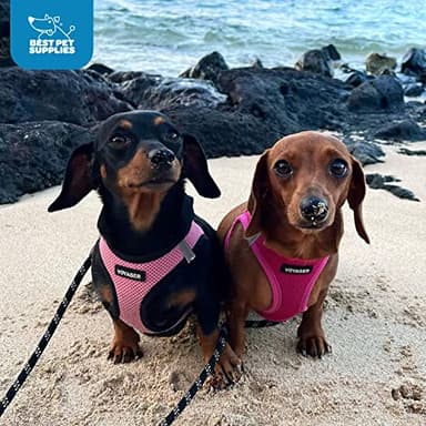 Best Pet Supplies Voyager Step-in Air Harness - All Weather Mesh, Reflective, No Pull Harness for Dogs, Cats - Secure with Hook & Loop Fastener, Buckle, Double D-Rings - Fuchsia, M - Image 9