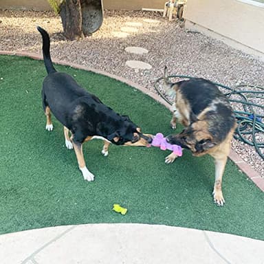 Jalousie Plush Toys Assortment Value Bundle Puppy Pet Mutt Squeak Toy for Medium Large Dogs (5 Pack Corduroy) - Image 4