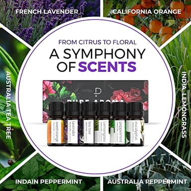 Essential Oils Set by Pure Aroma - Top 6 Aromatherapy Oils Gift Set-6 Pack, 10ml (Eucalyptus, Lavender, Lemongrass, Sweet Orange, Peppermint, Tea Tree) - Image 4
