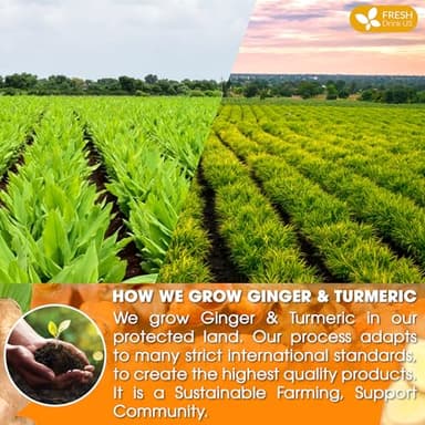 FreshDrinkUS, Premium 135 Turmeric Ginger Tea Bags, 100% Natural Ingredients, Hand-made Blend of Turmeric and Ginger Herbal Tea, Eco-conscious Tea Bags. No Sugar, No Caffeine, No Gluten, Vegan. - Image 5