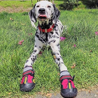 QUMY Dog Shoes for Large Dogs, Medium Dog Boots & Paw Protectors for Winter Snowy Day, Summer Hot Pavement, Water-Resistant in Rainy Weather, Outdoor Walking, Indoor Hardfloors Skid-Resistant Sole - Image 6