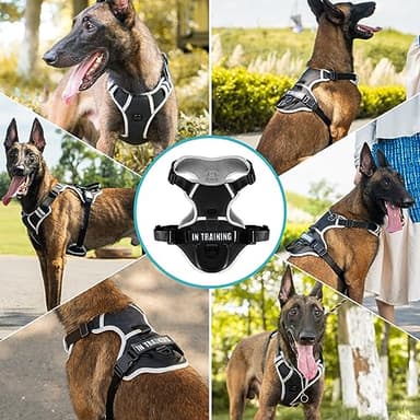 WENDISI Mint Green Large Dog Harness, Reflective Oxford Vest with No Pull & No Choke Dual Clips, Adjustable Soft Padded Harness with Easy Control Handle, for Dog Walking, Jogging, Hiking - Image 6