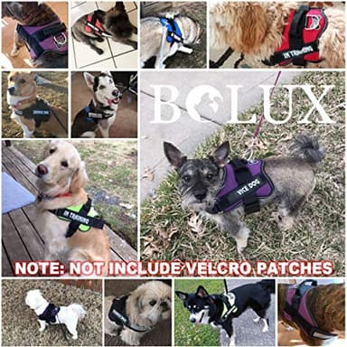 Bolux Dog Harness, No-Pull Reflective Dog Vest, Breathable Adjustable Pet Harness with Handle for Outdoor Walking - No More Pulling, Tugging or Choking (Blue, M) - Image 7