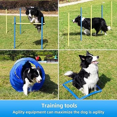 Yiotl Dog Agility Training Starter Kit Backyard Obstacle Course with Interactive Play, Agility Jumps, Weave Poles, Tunnels, Hurdle & Carrying Case - Image 6