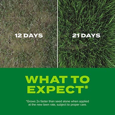 Scotts Turf Builder Rapid Grass Sun and Shade Mix, Combination Grass Seed and Fertilizer, Grows Green Grass in Just Weeks, 5.6 lbs. - Image 4