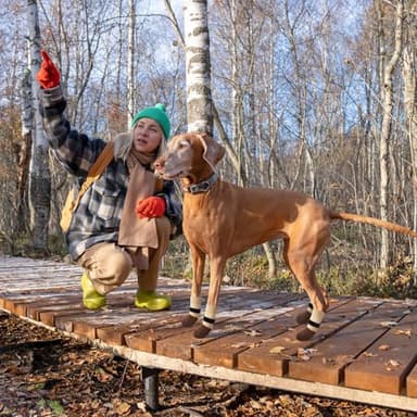 SCENEREAL Dog Socks to Prevent Licking Paws for Hardwood Floors Anti Slip, Dog Grippy Socks Shoes for Senior Small to Large Dogs, Dog Boots & Paw Protectors for Hot/Cold Scratching Pavement - Image 2