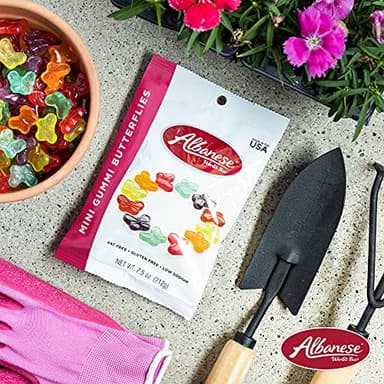 Albanese World's Best Mini Gummi Butterflies, 7.5oz Bag of Candy (Pack of 12), Individually Wrapped Soft & Chewy Candy Snacks - Image 4