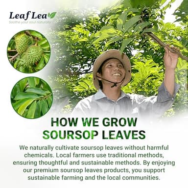 LeafLea 40 Premium Soursop Leaf Tea Bags, Pure & Natural Sour Sop Leaves, Graviola Leaves Tea, Hoja Guanabana Tea, Natural Digestion Support Herbal Tea Bags, Nutrient-Rich, No Sugar, No Caffeine - Image 7