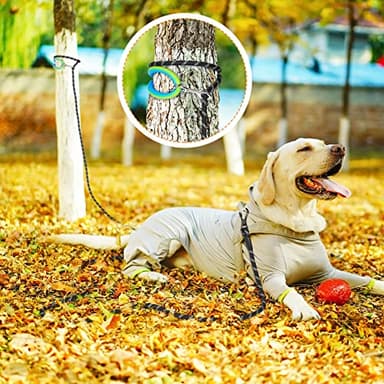 Long Dog Leash for Dog Training 10FT/15FT/20FT/30FT/40FT/50FT/100FT Reflective Leash with 2 Hooks, Heavy Duty Dog Lead for Large Medium Small Dogs Outside Walking Camping Yard, Black 50FT - Image 6