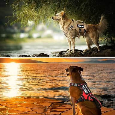 WINSEE Service Dog Patches for Service Vest Dog Harness(2 Pack, L) - Image 7