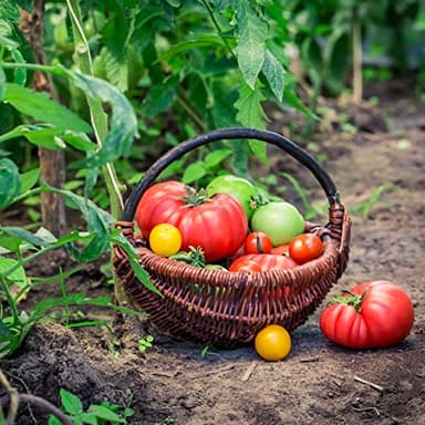 Augason Farms Vegetable Garden Seeds 13 Variety 1 lb No. 10 Can - Image 3