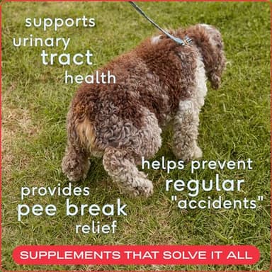 Native Pet Dog UTI Treatment - Cranberry Supplement for Dogs Bladder Control & Kidney Support - Prevent Urinary Tract Infection and Urinary Incontinence - Made with Real Cranberry Extract - 60 Chews - Image 2