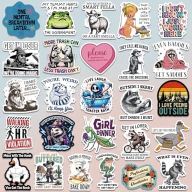 200 PCS Funny Holographic Stickers for Adults, Waterproof Vinyl Sarcastic Meme Decals for Laptop, Water Bottle, Phone, Kindle, Journal, Scrapbook, Bumper, Skateboard, Luggage, No Repeats - Image 5