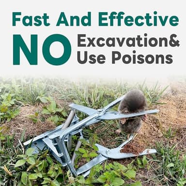 2 Pack Mole Traps,Galvanized Steel Scissor Trap,Reusable Mole Trap Killer,Easy Set Mole Eliminator Trap for Lawns - Image 7