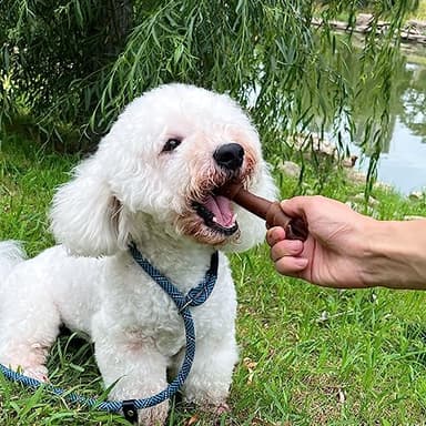MON2SUN Rawhide Free Dog Treats, Peanut Butter Bones, 5 Inch 6 Count Chews for Small and Medium Dogs, Healthy Bones for Balanced Nutrition (Peanut Butter, 12.7 Ounce -Pack of 1) - Image 6