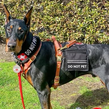 Do Not Pet Patch 2 Pcs Service Id Dog Tag Easily Attach to Dog Collar, Harness (Medium 1.50 x 5.12 inch) - Image 2