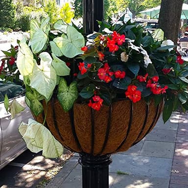 14 inch Coco Liner for planters, 2PCS Round Replacement Plant Basket Liners Coco Fiber Liner for Hanging Basket (14 inch Round) - Image 4