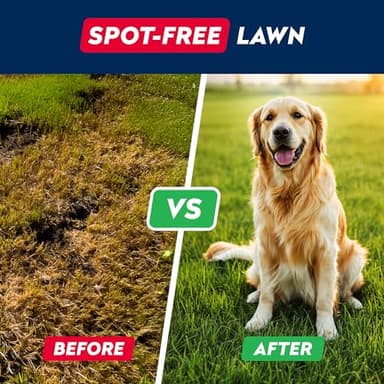 STRELLALAB Green Grass Dog Chews - Dog Pee Grass Helper - Supplement Urine Neutralizer for Grass Burn Spots - Grass Treatment for Pet Urine - Pee Lawn Repair Treats with Probiotics - Made in USA - Image 2