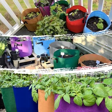 7 Pack 7 Gallon Plant Grow Bags - Mixed 7 Colors with Reinforced Handles & Aeration Design, Ideal for Tomato, Flowers & Fruits - Image 8