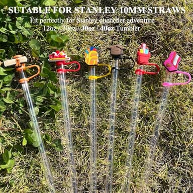 Amreich Teacher Straw Covers, 6 PCs Straw Toppers Reusable Straw Cover Cap Compatible with Stanley 30 & 40 Oz Tumbler, Stanley Cup Accessories Gifts for Students and Teachers - Image 2