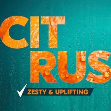 Degree All Day Fresh Body Wash Fresh Citrus Deep Cleansing 20 oz - Image 5