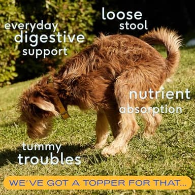 Native Pet Pumpkin for Dogs - Organic Powder Pumpkin Puree Dog Food Toppers -Rich in Fiber Supplement Powder Helps with Digestion, Nutrient Absorption, Diarrhea, Constipation & Upset Stomach-60 Scoops - Image 2