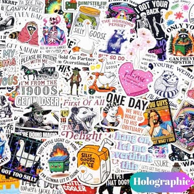 200 PCS Funny Holographic Stickers for Adults, Waterproof Vinyl Sarcastic Meme Decals for Laptop, Water Bottle, Phone, Kindle, Journal, Scrapbook, Bumper, Skateboard, Luggage, No Repeats - Image 4