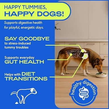 Native Pet Probiotics for Dogs - Dog Probiotics Powder for Digestive Health, Gut Support, & Immune Boost – Vet-Formulated Powder for Maximum Potency with Digestive Enzymes & Prebiotics - 60 Scoops - Image 4