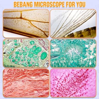 Handheld Portable Pocket Microscope for Kids - BEBANG 135x Mini Lab Kids Microscope with 5 Prepared Slides LED Portable Microbiological Observation Miniscope Tool for Science Exploration - Image 4