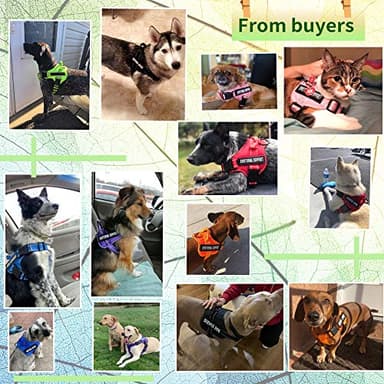 voopet Service Dog Harness, Emotional Support Pet Vest Harness, Reflective Breathable and Adjustable No-Pull ESA Dog Harness for Small Medium Large Dogs (with 4 PCS Removeable Tags) - Image 2