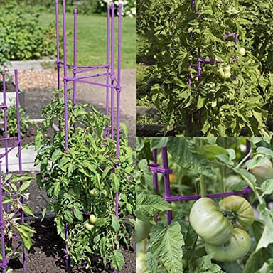 NO Splicing - 5ft Tall Tomato Cage 6-Pack Large Tomato Stakes Garden Plant Stakes Climbing Suports, 40 Clips and Plant Ties Include, Purple - Image 8