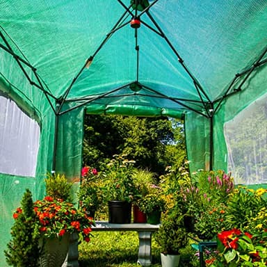 EAGLE PEAK Instant Pop-up Greenhouse, Indoor Outdoor Plant Gardening Green House, Roll-Up Zipper Doors and Side Windows, Walk in 8x6 ft, PE Cover, Green/Clear - Image 8