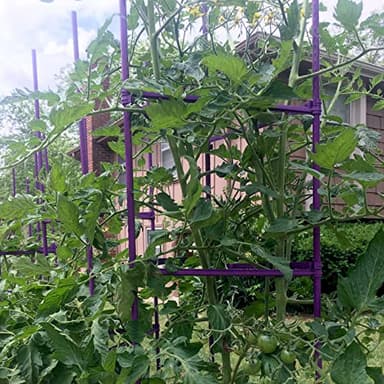 NO Splicing - 5ft Tall Tomato Cage 6-Pack Large Tomato Stakes Garden Plant Stakes Climbing Suports, 40 Clips and Plant Ties Include, Purple - Image 4