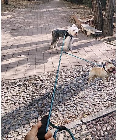 BTINESFUL 12ft/20ft/32ft Long Dog Leash for 2 Dogs, No Tangle 1/3inch Reflective Dual Leash Long Lead for Medium Small Breeds, Outside Walking Lead for Two Dogs Playing Recall Training (blue-32ft) - Image 7