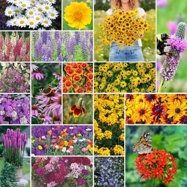 Eden Brothers All Perennial Wildflower Mixed Seeds for Planting, 1/4 lb, 120,000+ Seeds with Lupine, Shasta Daisy | Attracts Pollinators, Plant in Spring or Fall, Zones 3, 4, 5, 6, 7, 8, 9, 10 - Image 1