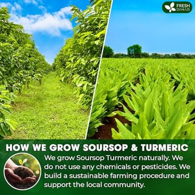 FreshDrinkUS, Premium 60 Soursop Turmeric Tea Bags, 100% Natural, Blend of Soursop Leaves, and Turmeric Root. Made with Natural Material Tea Bags. No Sugar, Vegan. - Image 5