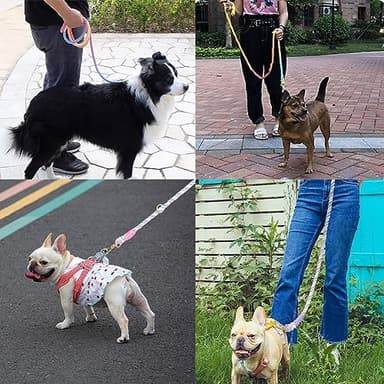 LWBMG Multifunctional Rope Dog Leash 7.5 FT with Double Swivel Hook Hands Free for Small Medium and Large Dogs Running Walking Rainbow - Image 6