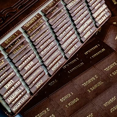 UPAFEXXI-Leather Bible Tabs, Bible Tabs for women and men(Gold Foil Lettering) Large Print Stickers, Easy to Read and Apply, 80 Chapters Labels for Easy Navigation(Brown) - Image 1