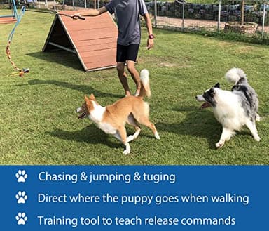 Interactive Flirt Pole Toy for Dogs Chase and Tug of War,Durable Teaser Wand with Pet Fleece Rope Tether Lure Toy to Outdoor Exercise & Training for Small Medium Large Dogs (Blue/Red, POLE-35 inches) - Image 3